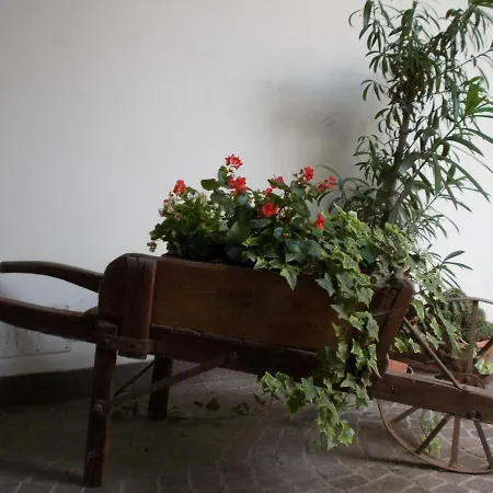 “la Loggia” * Casale Monferrato